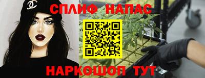 гашик Кохма