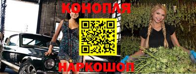 гашик Кохма