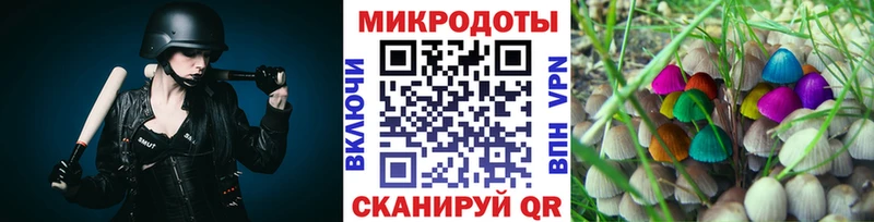 наркота  Краснотурьинск  Псилоцибиновые грибы Psilocybe 